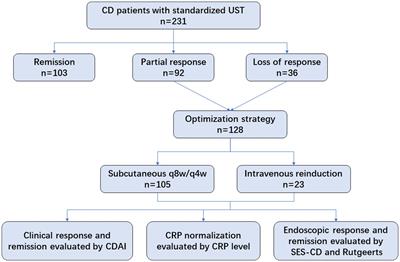 Extra intravenous Ustekinumab reinduction is an effective optimization strategy for patients with refractory Crohn’s disease